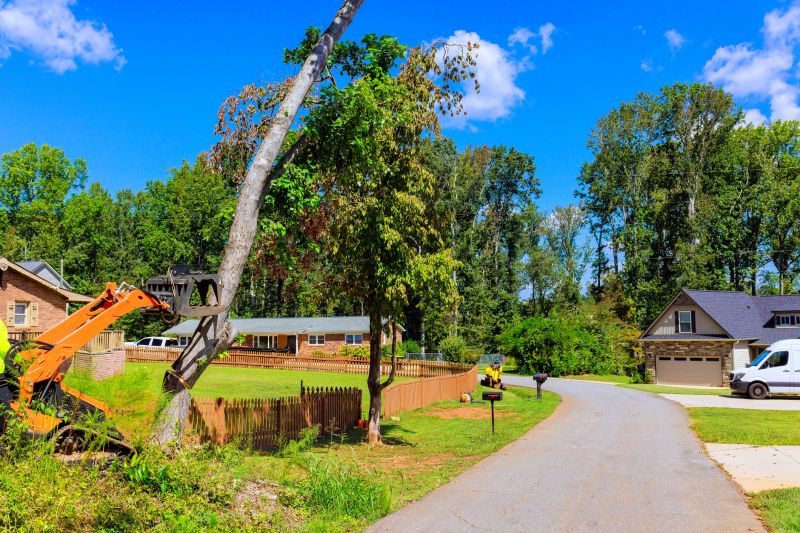 Commercial Lot Clearing