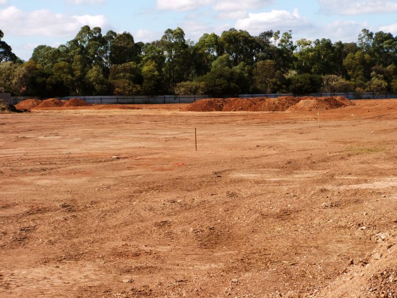 Frozen Soil in Winter