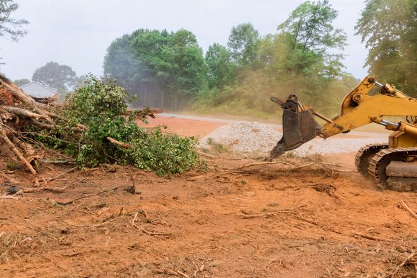 Ground Clearing in Alpharetta