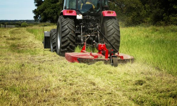Brush Clearing Service in Alpharetta