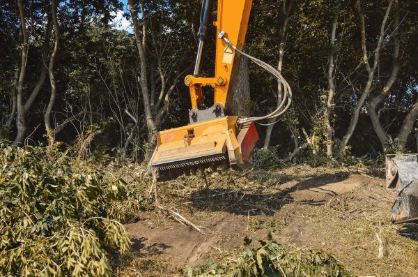 Brush Removal Service in Alpharetta