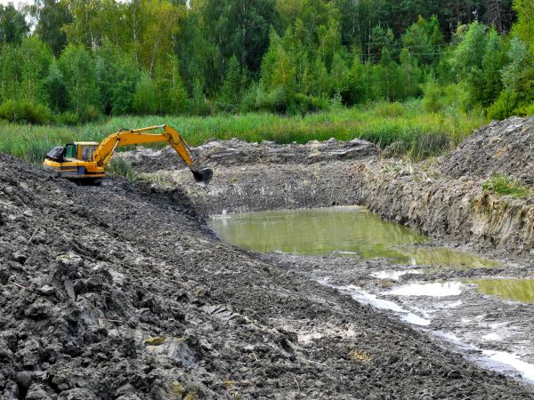 Cost of Lake Lot Clearing in Alpharetta