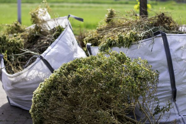 Cost of Bushes Clearing in Alpharetta
