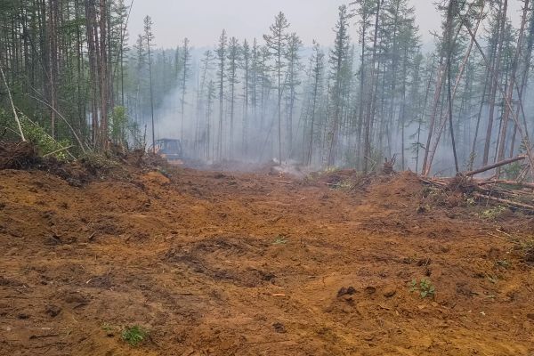 Cost of Hill Clearing in Alpharetta