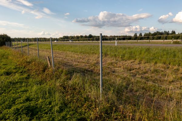 Cost of Property Line Clearing in Alpharetta