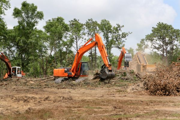 Cost of Commercial Lot Clearing in Alpharetta
